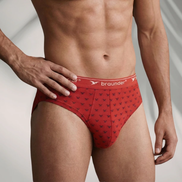 Men's Brief - Premium Brand pigeon